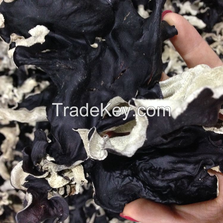 Washed Dried White Black Fungus Mushroom