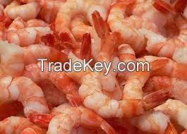 red shrimp