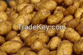 fresh irish potato