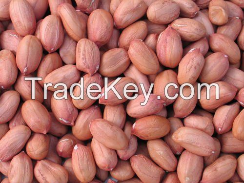 Natural groundnuts for sale