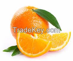 High quality orange and citrus fruit