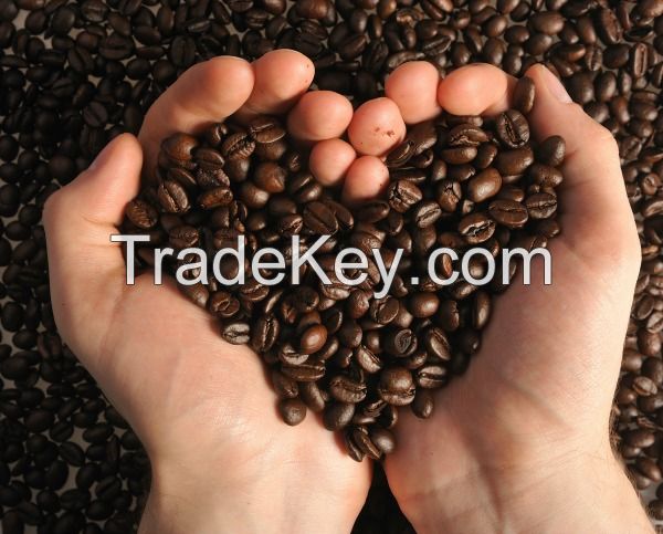 Roasted Coffee beans for sale