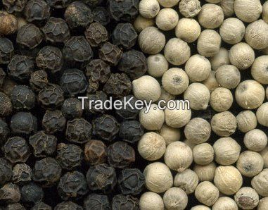 Dried White Peper 500gl/ Black Pepper 550gl