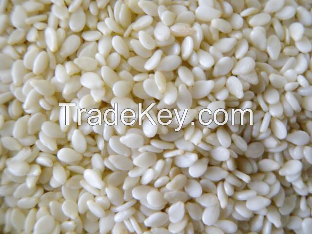 Natural Sesame seeds 99.95