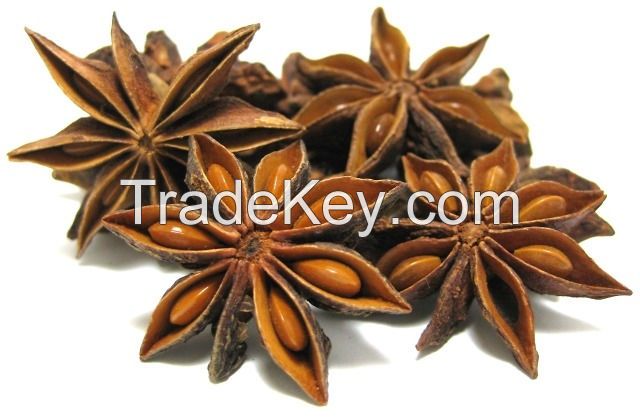 STAR ANISE SEED