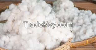 Good quality Raw Cotton and cotten seeds