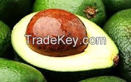 Grade A Quality Fresh Avocado