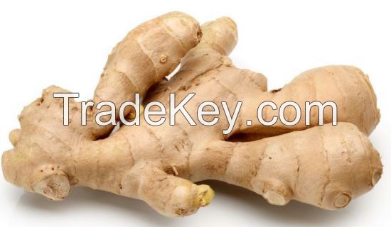 Fresh and Air-dried ginger