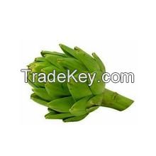 plant direct supply, Artichoke Extract