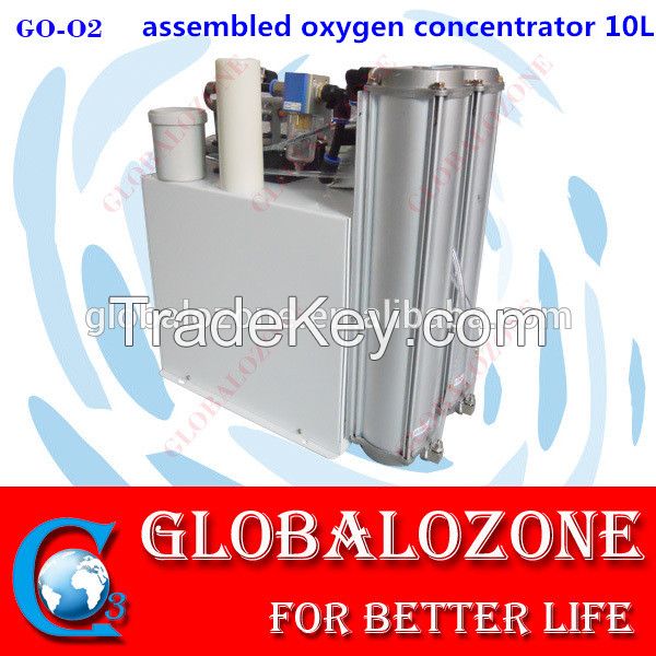 PSA assembled oxygen generator 10LPM