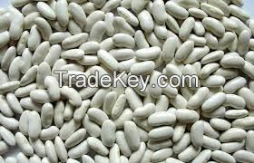white / red / black kidney beans