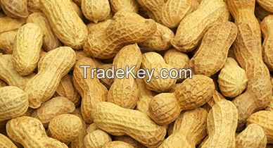 Peanuts