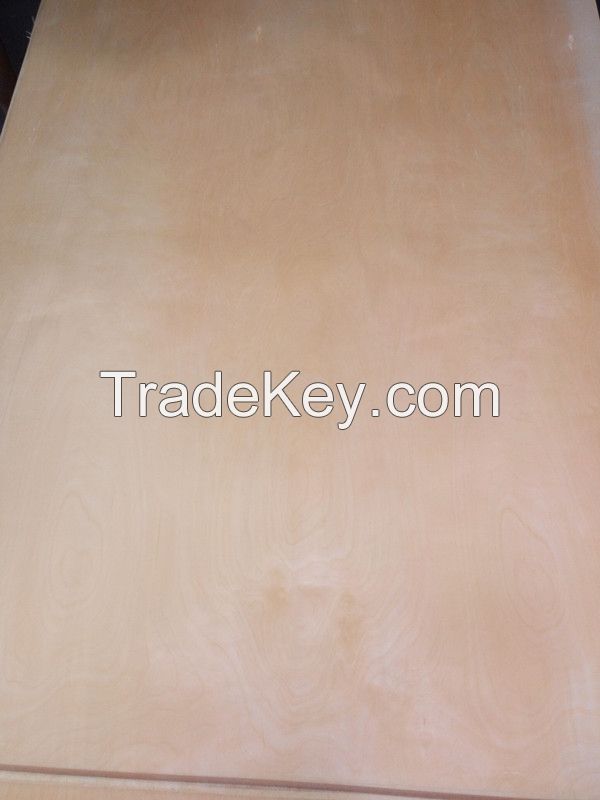 white birch veneered plywood