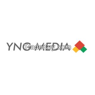 Ecommerce Website Development India : YNG Media