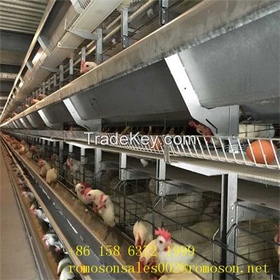 chickens cages_Shandong tobetter wholesale supply cages