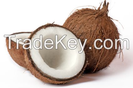 Husked / Semi Husked coconuts