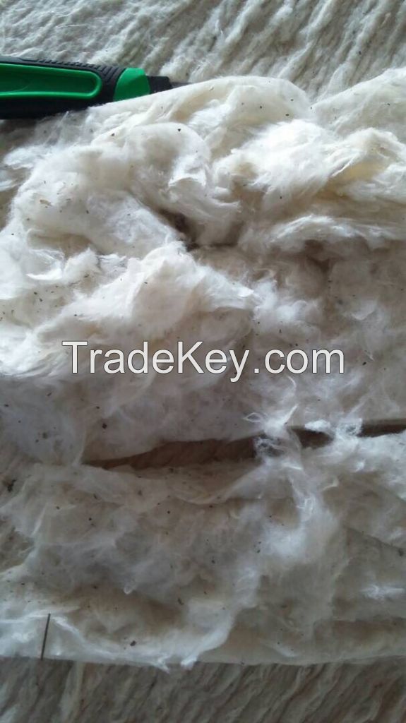 Raw cotton from Tajikistan, Kyrgyzstan