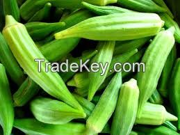 Fresh Okra Vegetable