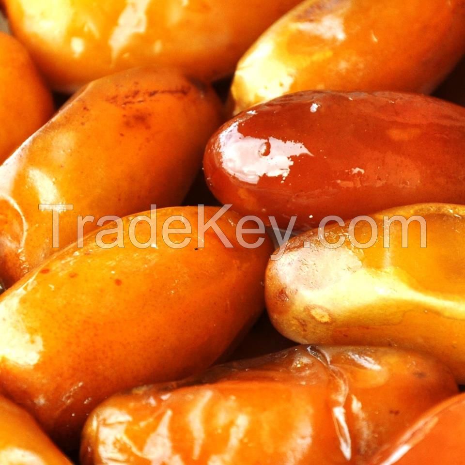 Deglet Nour Dates from Tunisia