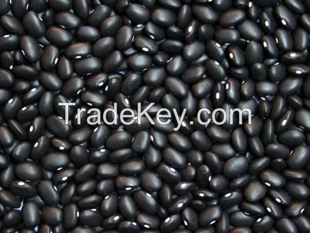 Sell - Black Kidney Beans