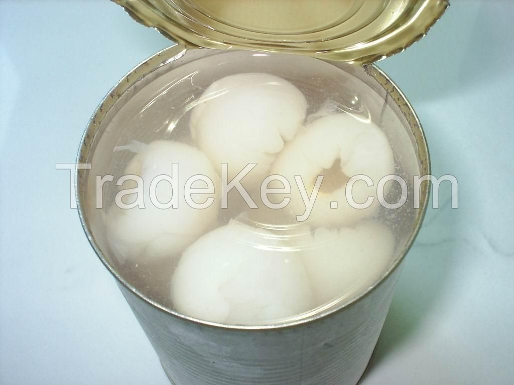 Canned Lychees in light/heavy syrup