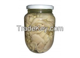 Canned White oyster mushroom