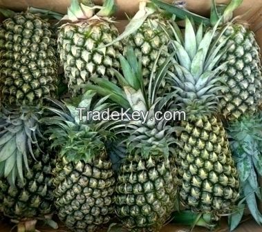 FRESH PINEAPPLE/ FRESH FRUIT