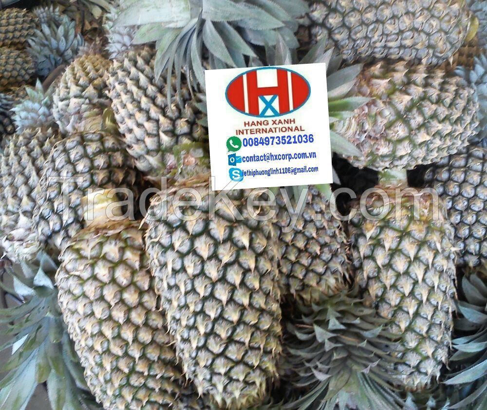 BEST PRICE FOR PINEAPPLE