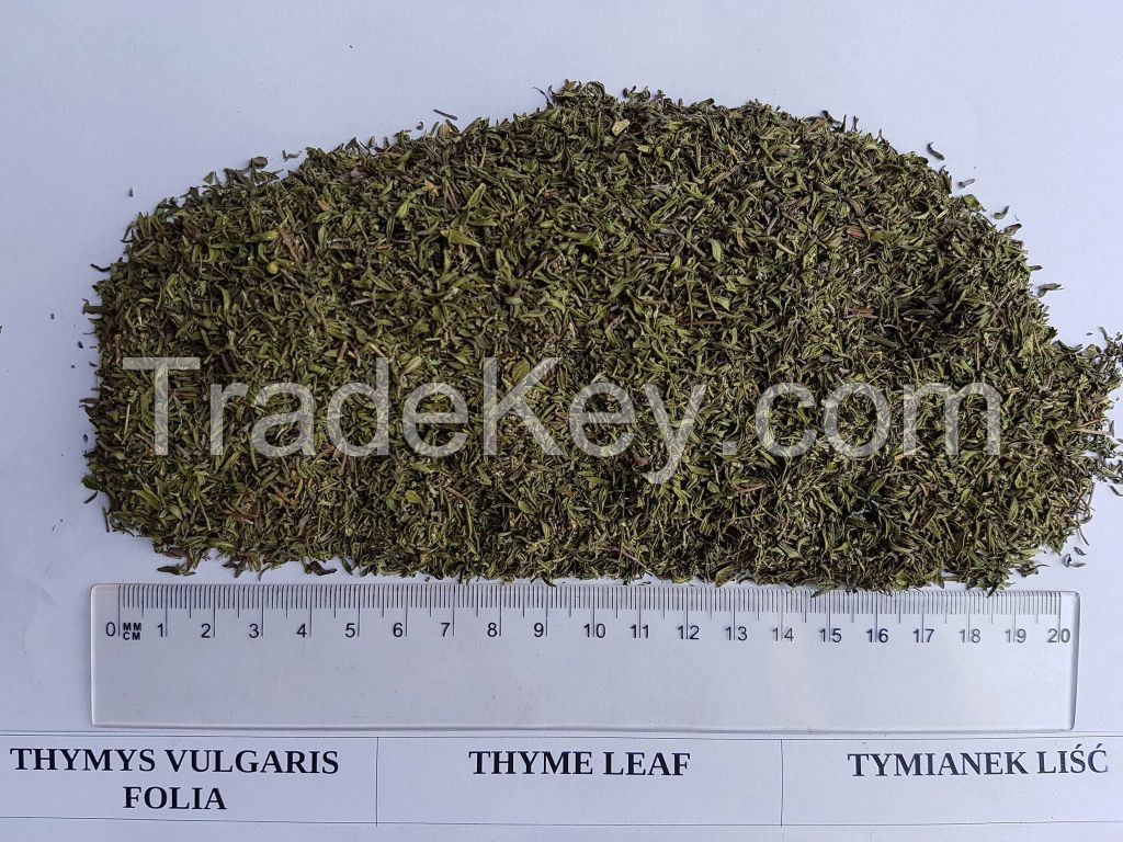 THYME LEAF