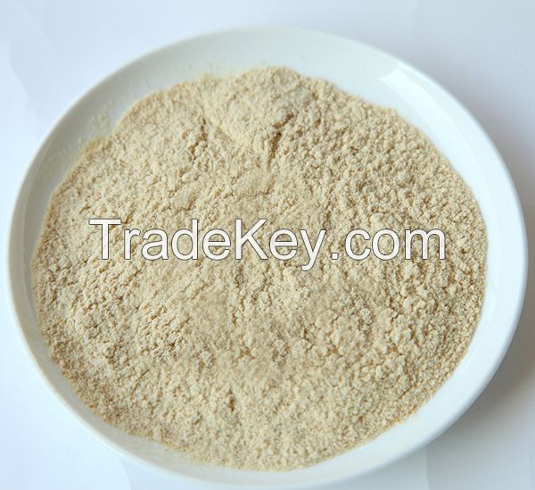 wheat gluten meal