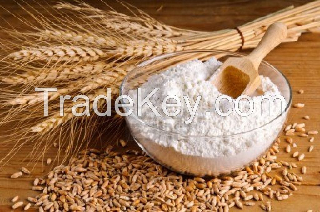 Sell Fresh Wheat flour