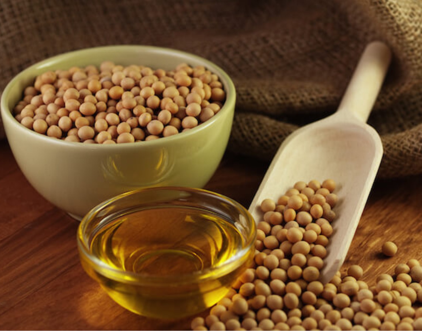 Soybean oil