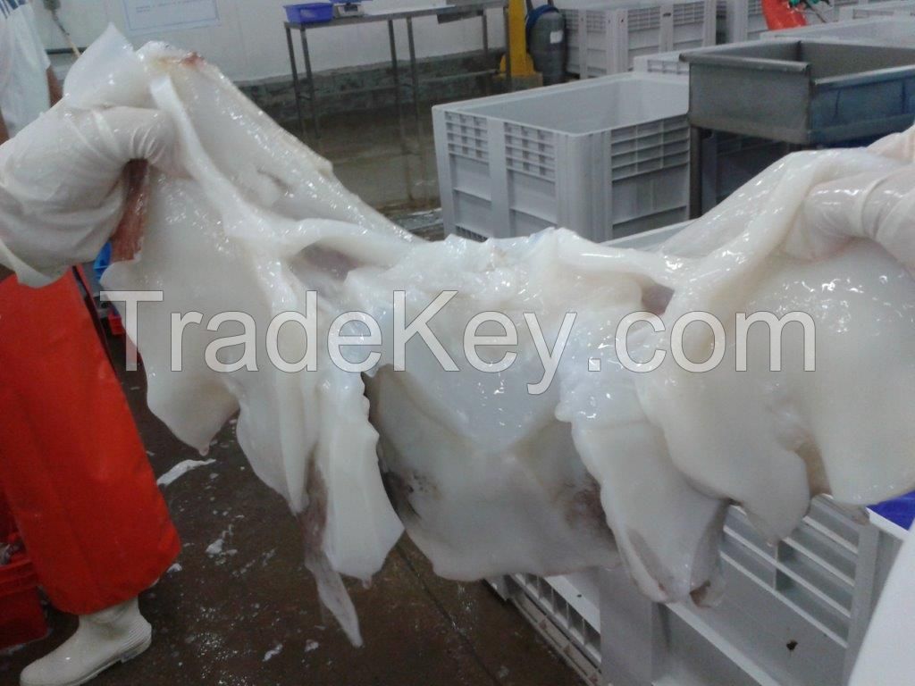 FROZEN GIANT SQUID NECKS