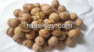 walnuts kernel price for sale