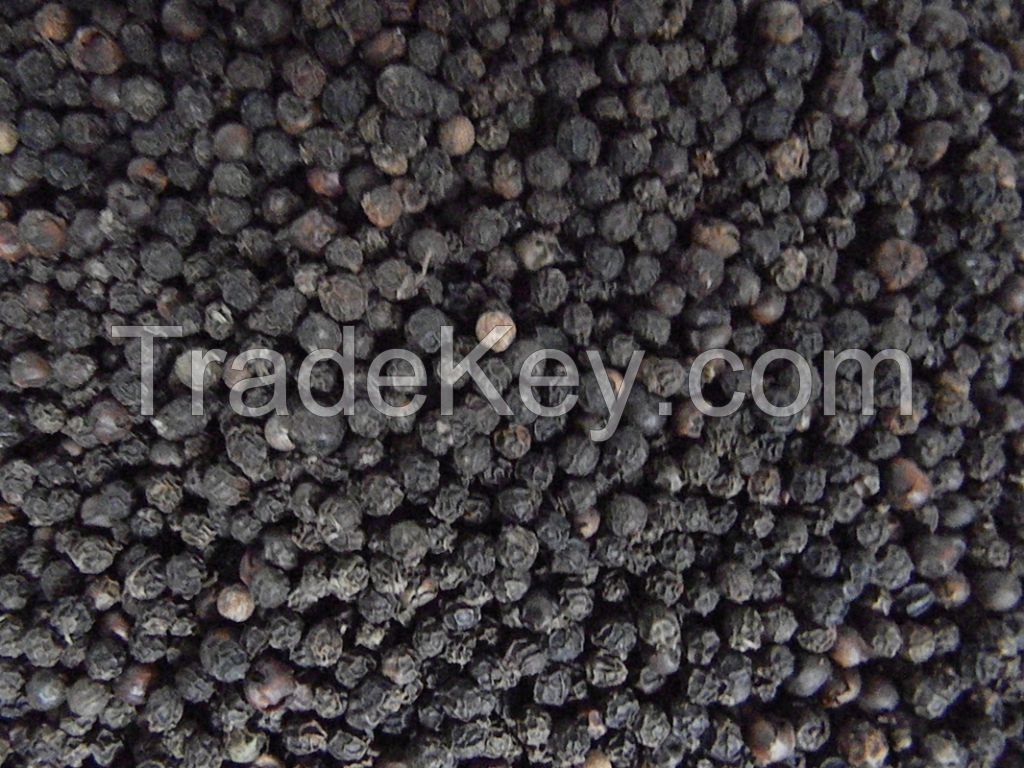 BLACK PEPPER