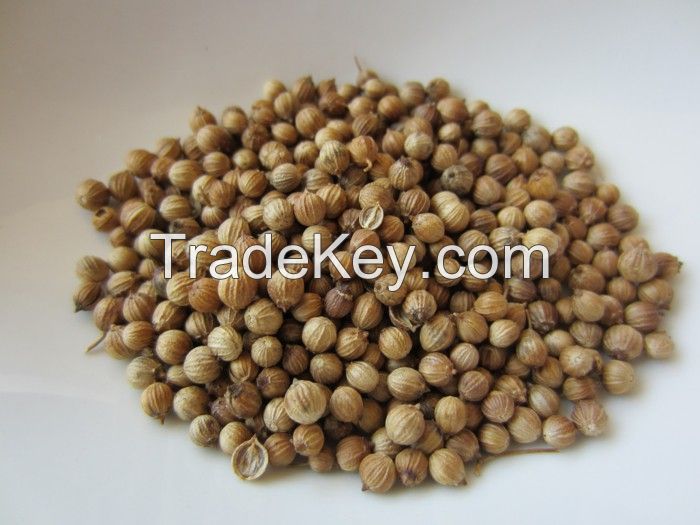 100% Natural High Quality Raw Material Spice Coriander Seed
