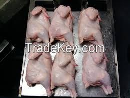 Best Quality halal frozen whole chicken (competitive price)