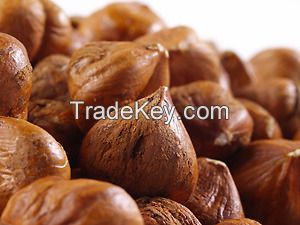 Sell Raw Hazelnuts Kernels in Shell, Organic Hazelnuts, Blanched Hazelnuts