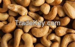 Quality Cashew Nuts for Sale