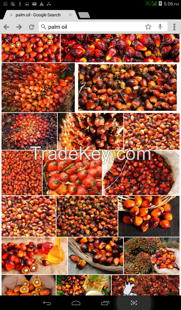 red olem palm oil