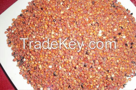 Red Sorghum