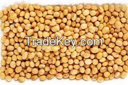 Soybeans