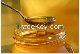 High Quality Organic Bee Honey