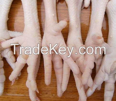 Frozen Fresh Halal Chicken Paws, Feet, Wings