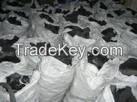 Briquette Charcoal