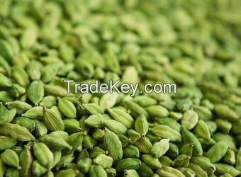 Green cardamom grade A