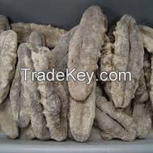 Dried Sea Cucumber