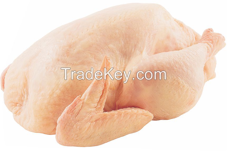 Halal Chicken whole And Parts Fresh Frozen