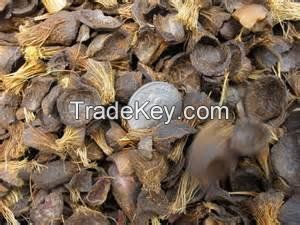Palm Kernel Shell, Coconut Shell for Sale Now with Low Price