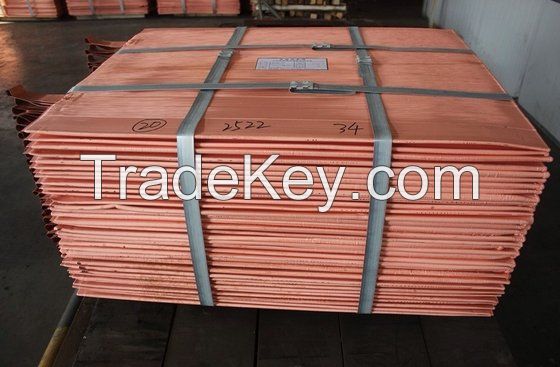 Copper Cathodes 99.99%